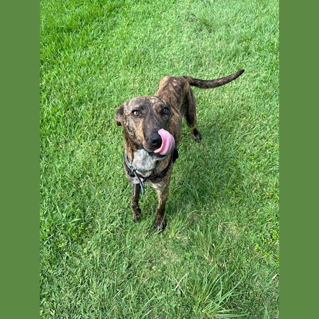 Photo of Yindi