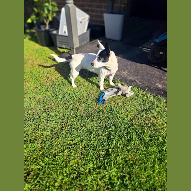 Photo of Roo 💜