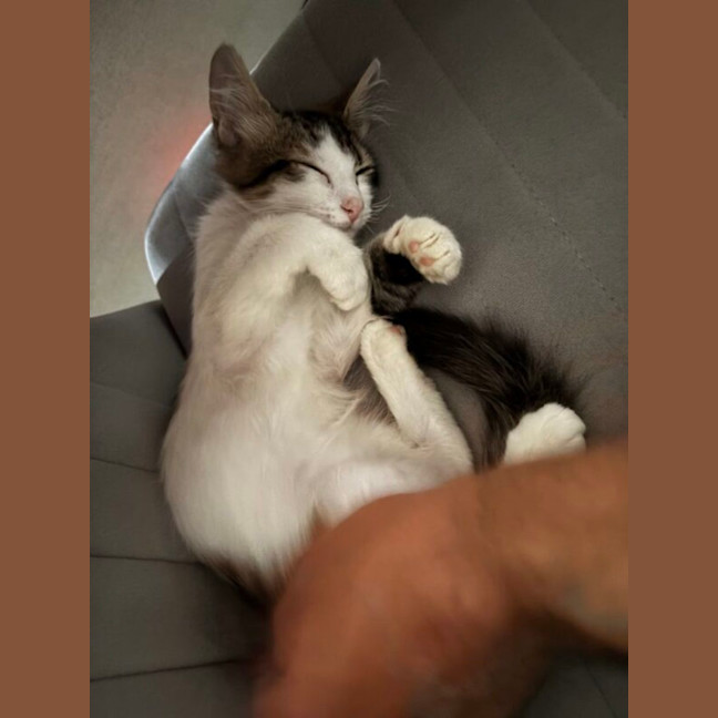 Photo of Ben And Jerry