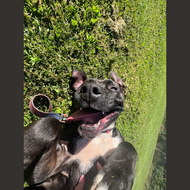 Photo of Beverly