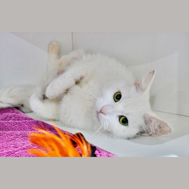 Photo of Madame Macadamia