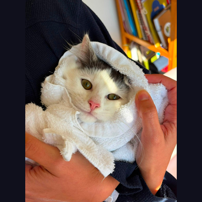 Photo of Popcorn