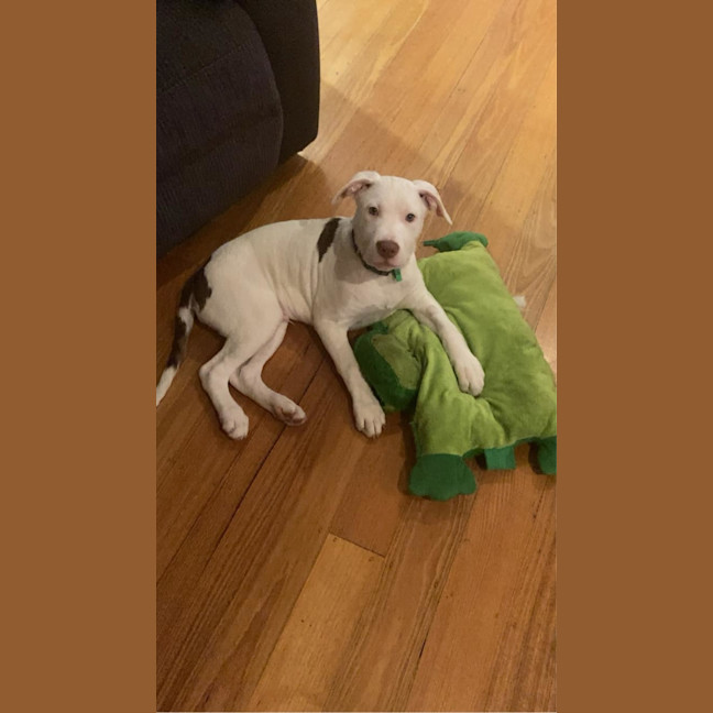 Photo of ❄️ Snowy ❄️