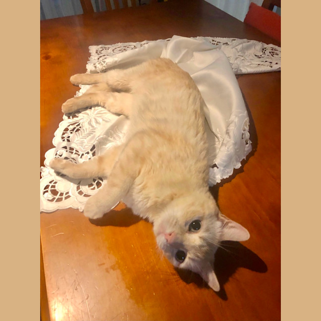 Photo of Diego 