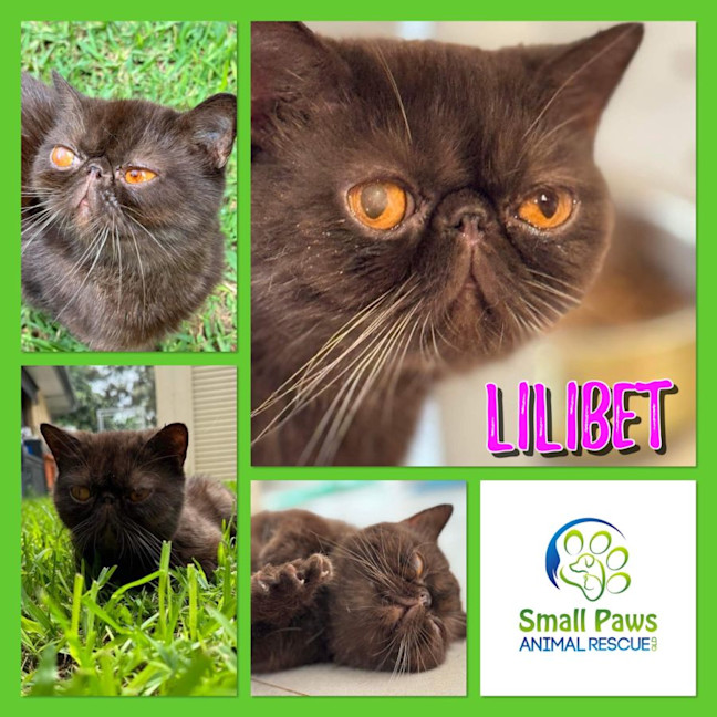 Photo of Lilibet