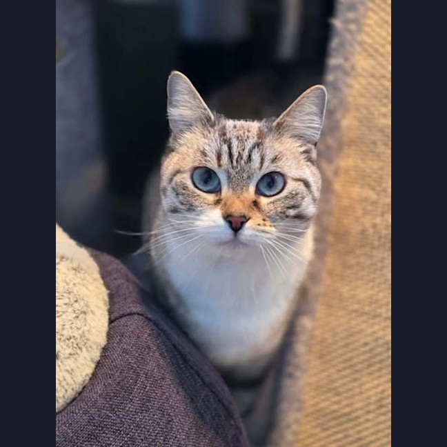 Photo of Bliss