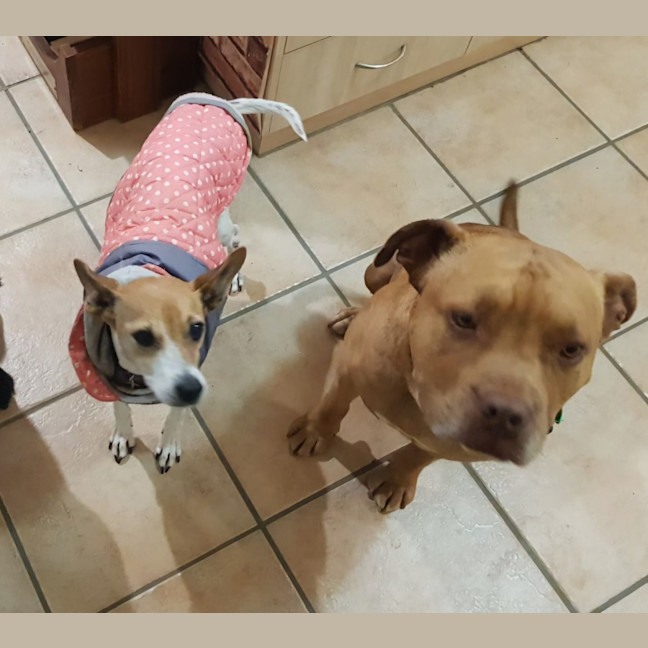 Photo of Ruby Tuesday