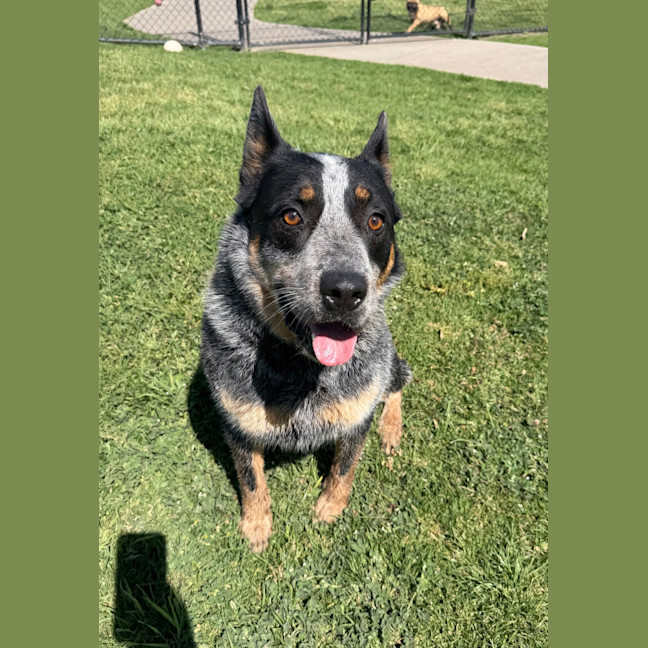 Photo of Jesse 