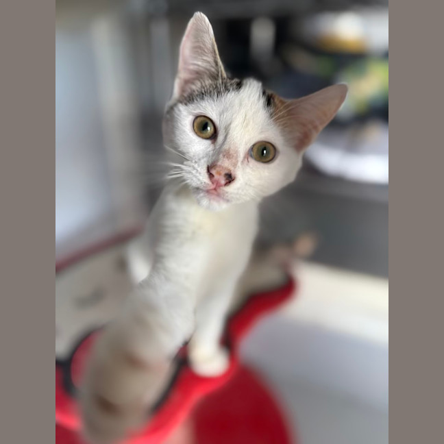 Photo of Macy