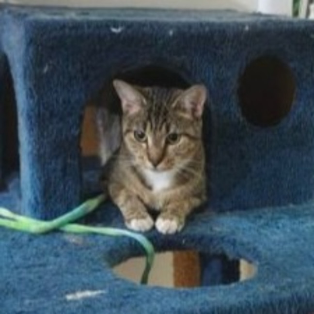 Photo of Sally