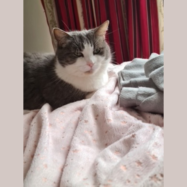 Photo of Theo & Ronnie