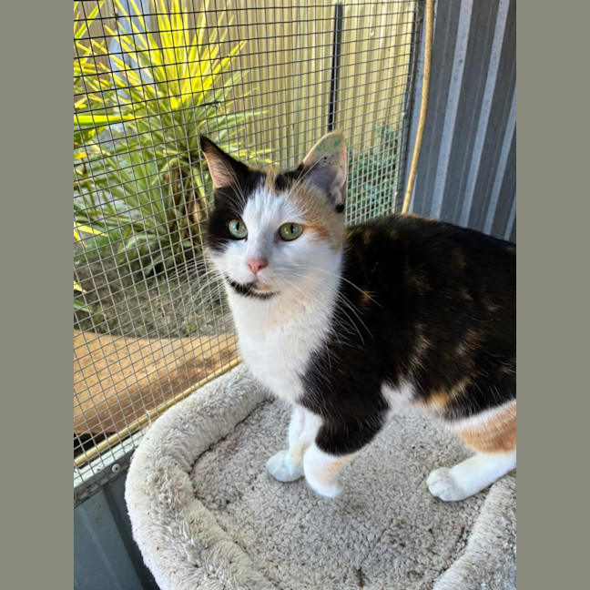 Photo of Betty Lou