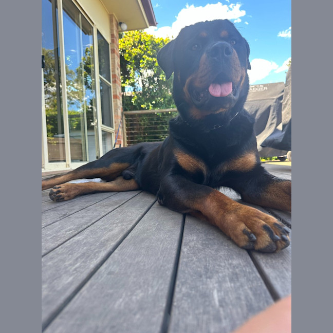 Photo of Murphy