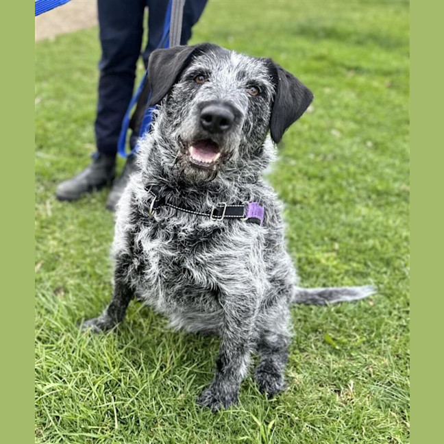 Photo of Annie