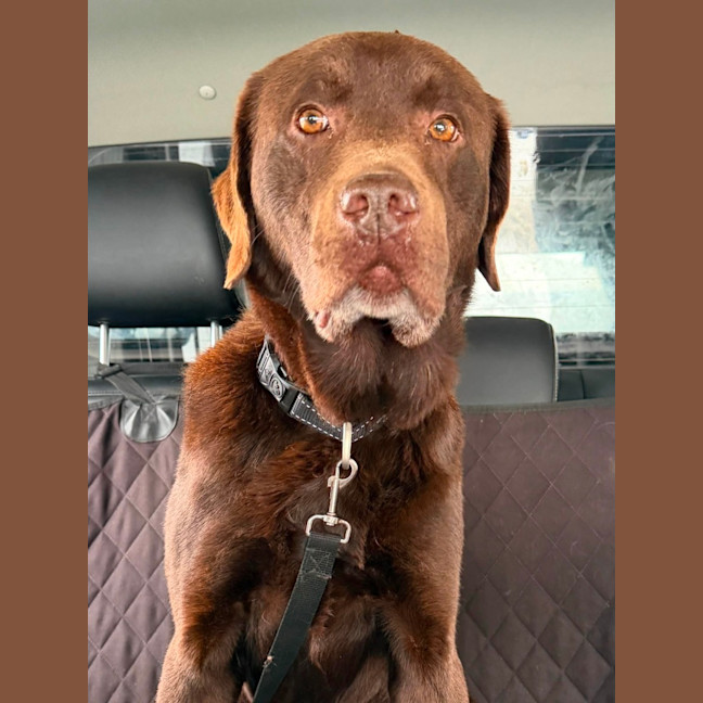 Photo of Duke