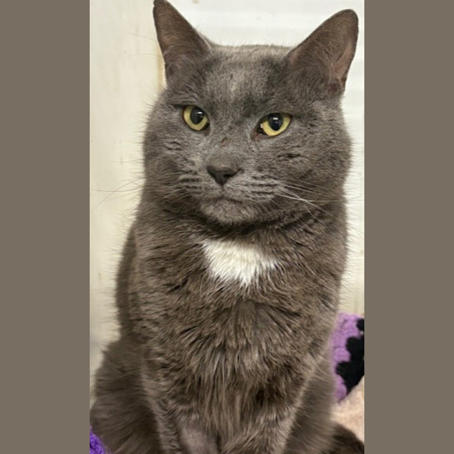 Photo of Tom