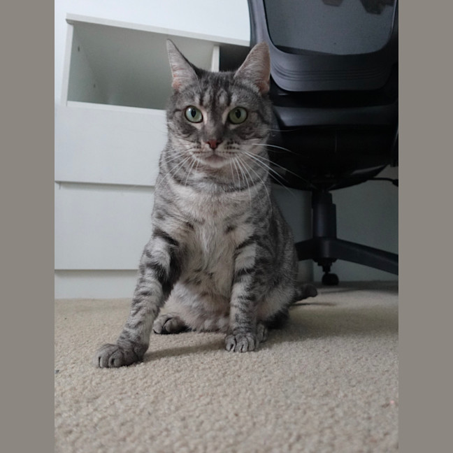 Photo of Kiara