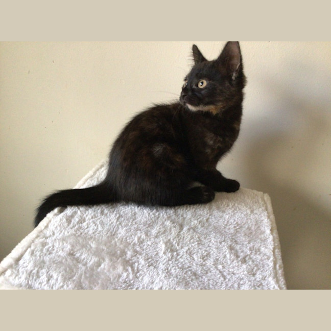 Photo of Ella