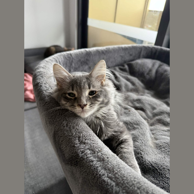 Photo of Theo