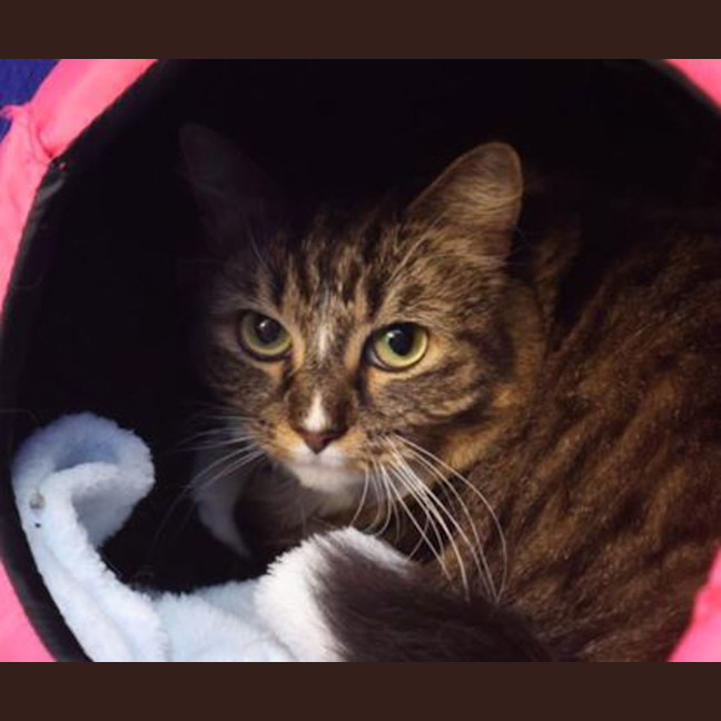 Photo of Ruby