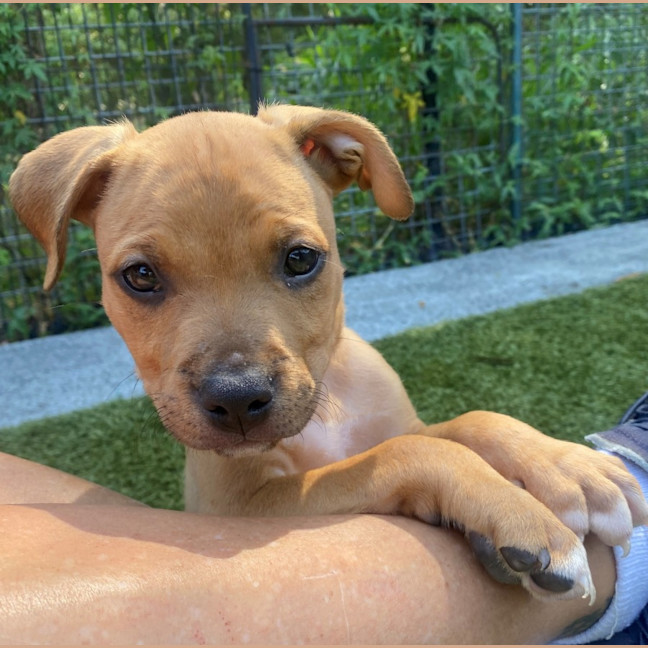 Photo of D1197 William