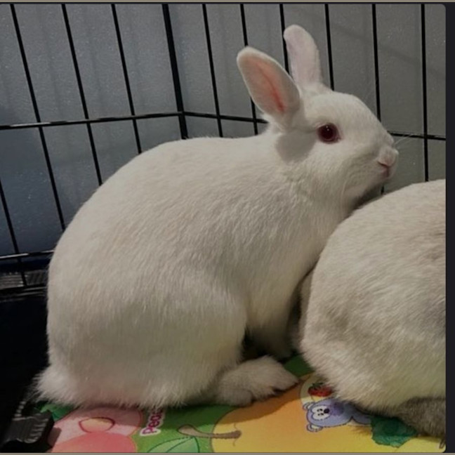 Photo of Audrey Hopburn With Mary Poppin