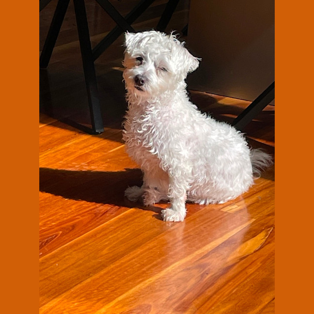 Photo of Juni 