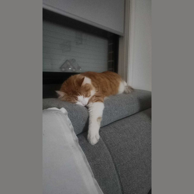 Photo of Jasper