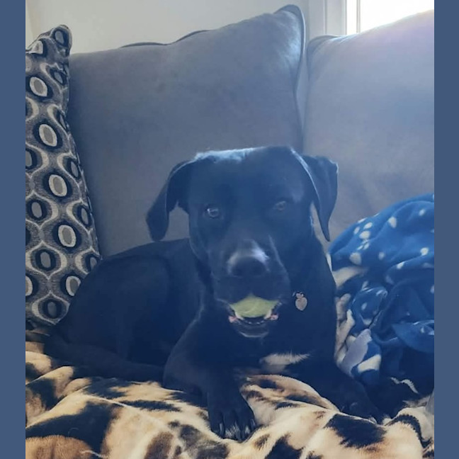 Photo of Missy