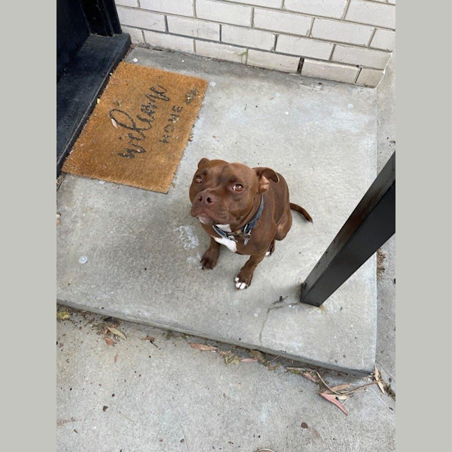 Photo of Randall Bulleau