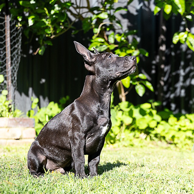 Photo of Riff