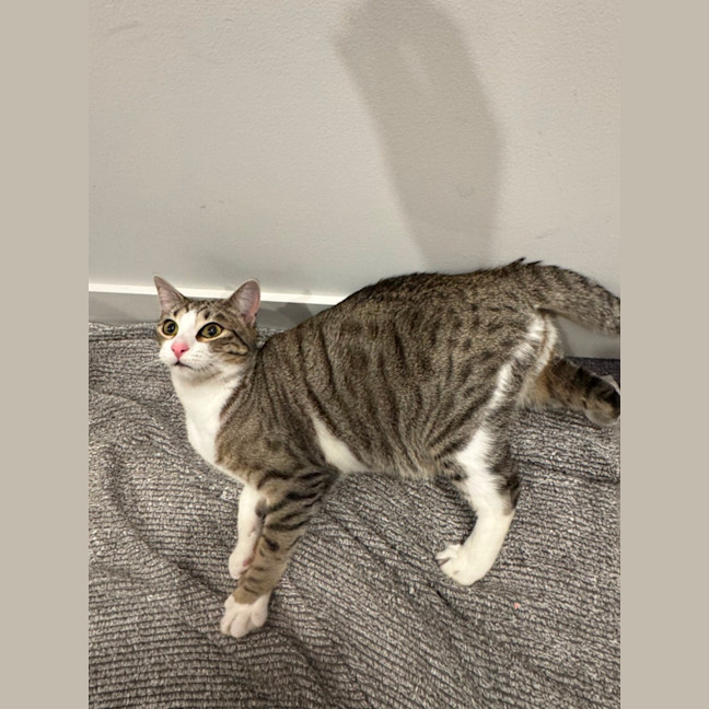 Photo of Artemis & Apollo