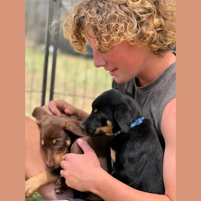 Photo of Hokey Pokey