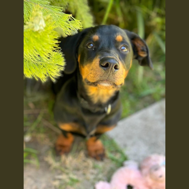 Photo of Skyler 