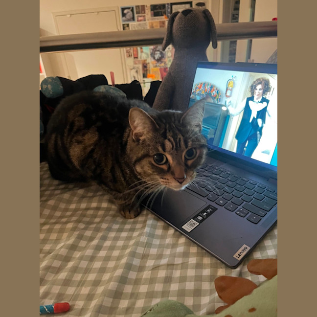 Photo of Princess Pumpkin