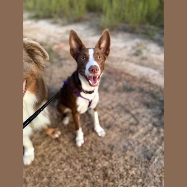 Photo of Pippi
