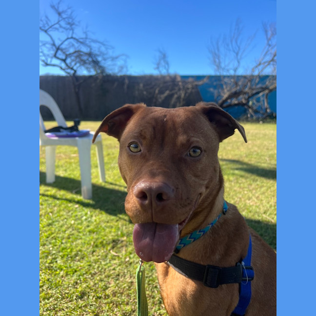 Photo of Benny