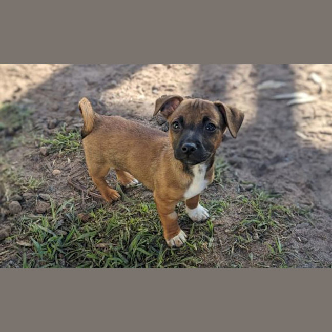 Photo of Max