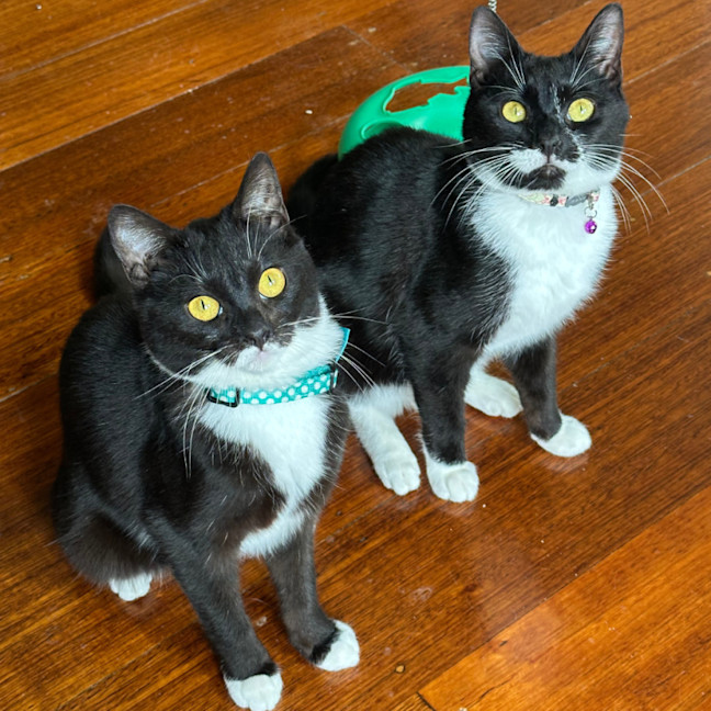Photo of Peppa & Tabitha