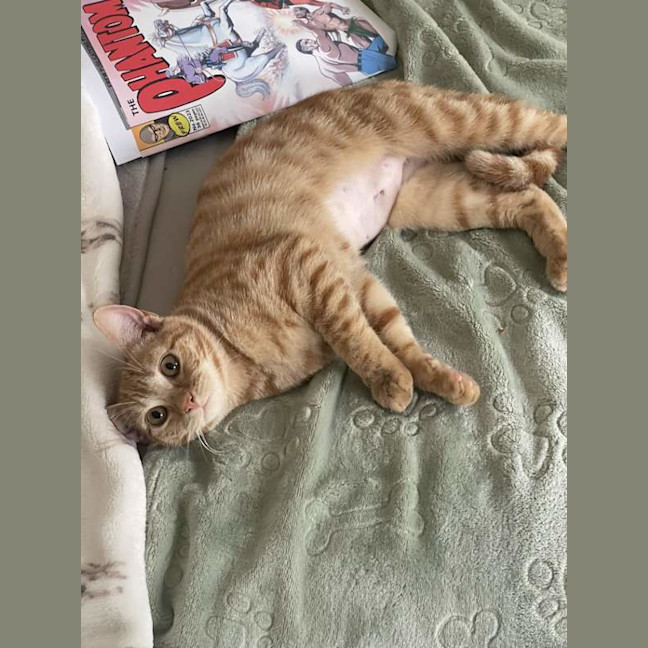 Photo of Lilybett