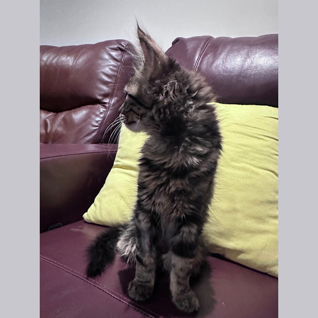 Photo of Zada