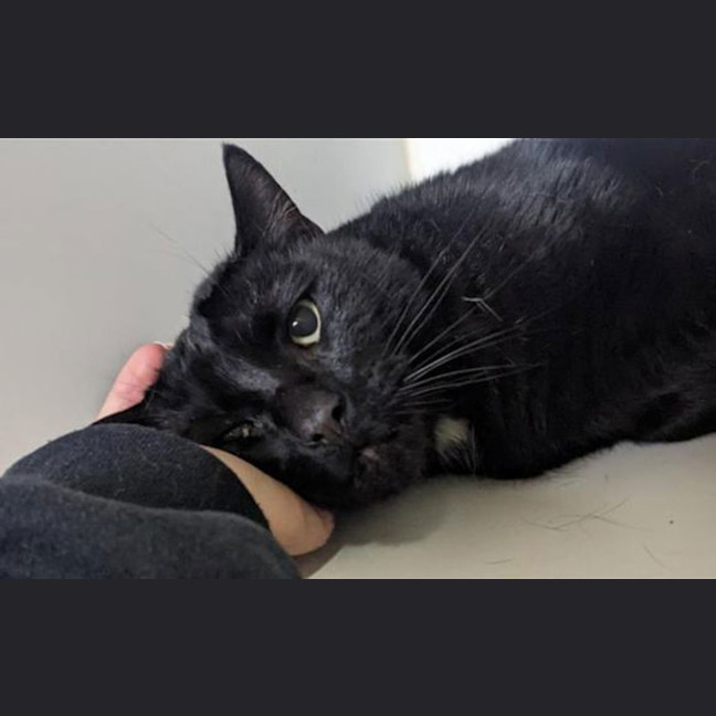 Photo of Coal
