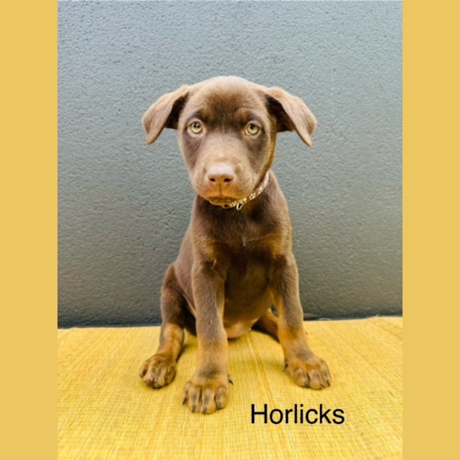 Photo of Uk Beverages Litter