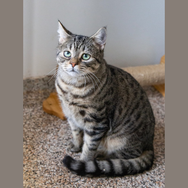 Photo of Mr Penelope