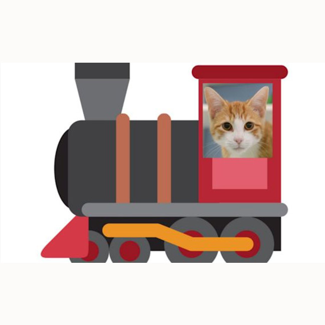 Photo of Myki 