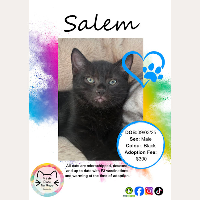 Photo of Salem