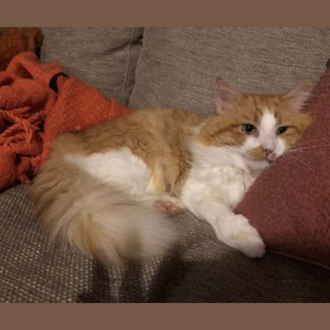 Photo of Ember