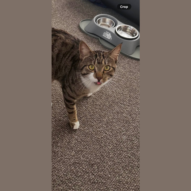 Photo of Jynx