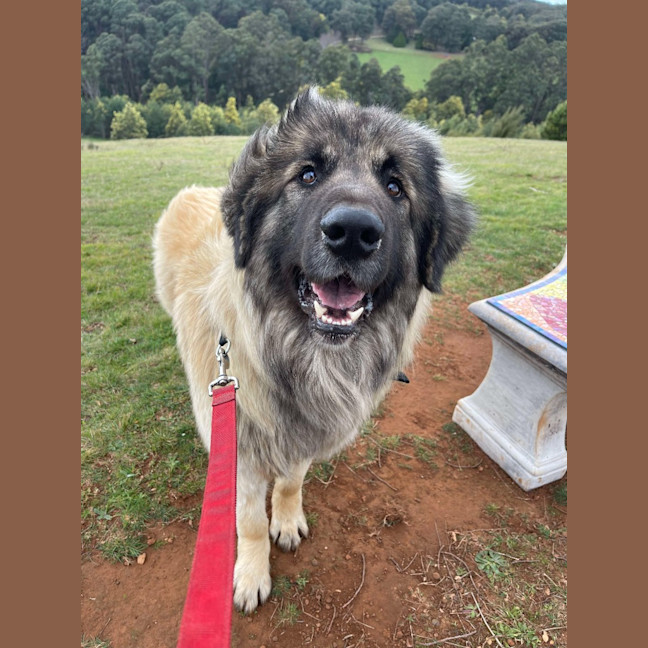 Photo of Hercules