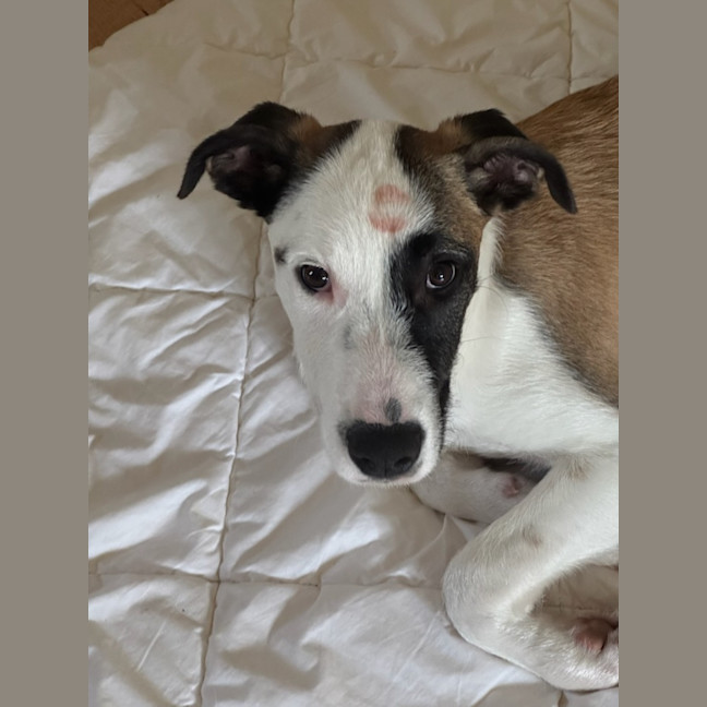 Photo of Isla